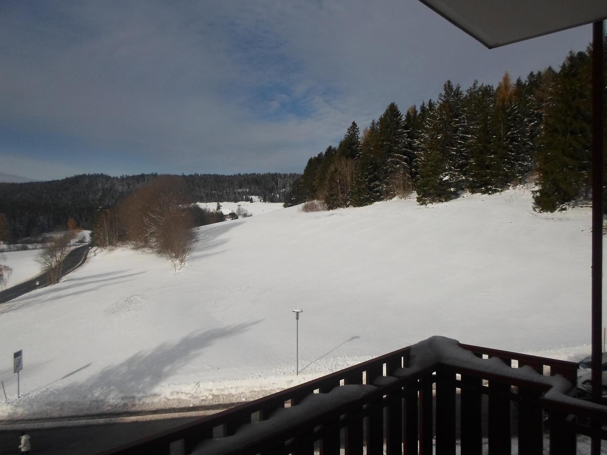Black-Forest Holiday - Ferienresort Am Schluchsee Exterior photo